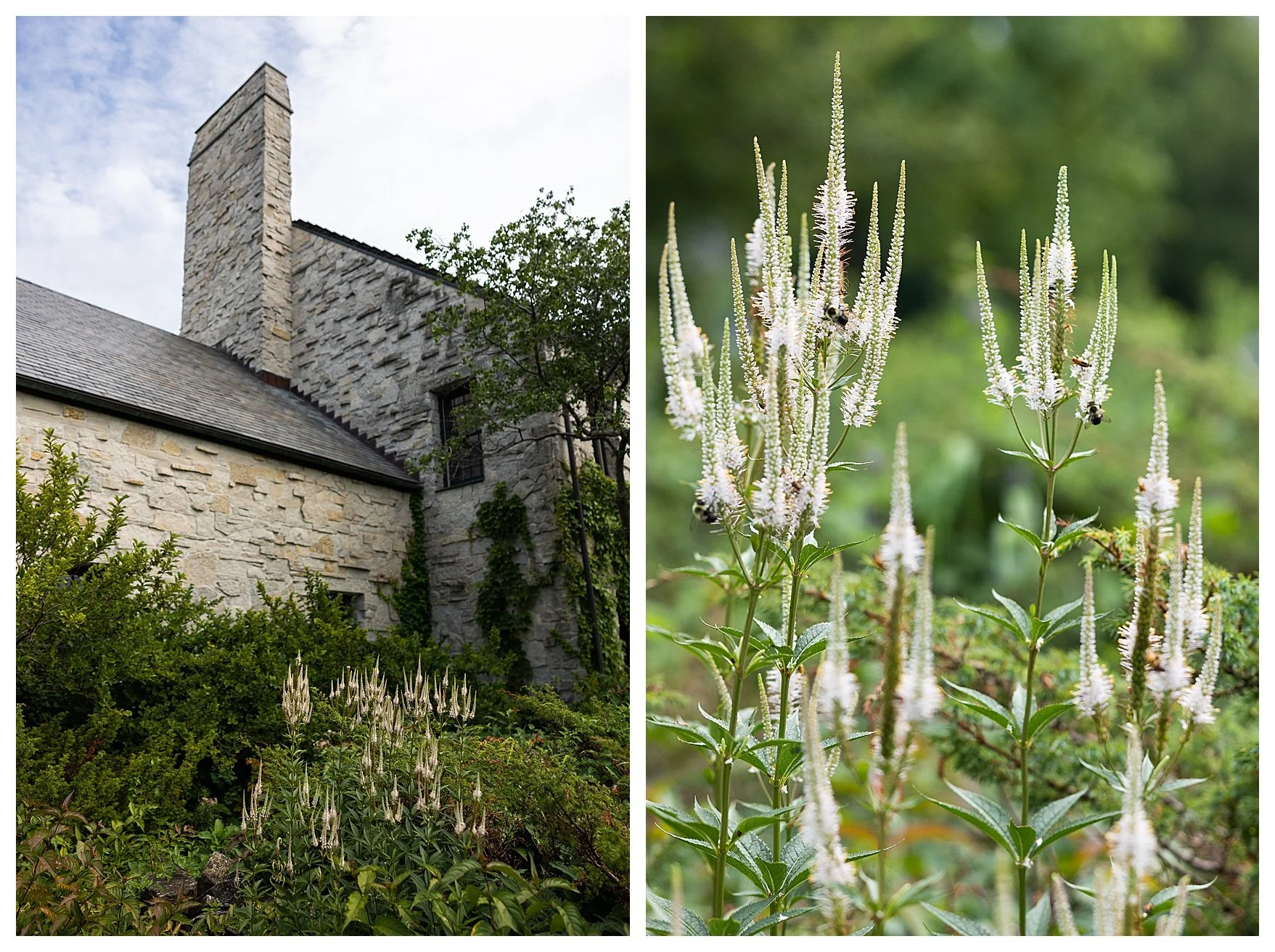 Whistling Straits Wedding