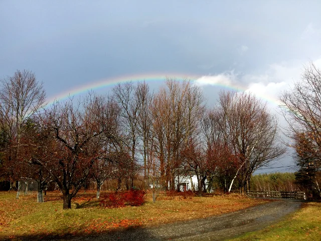 A beautiful rainbow on January 10, 2016. It was in a different spot than it is normally during the summer.