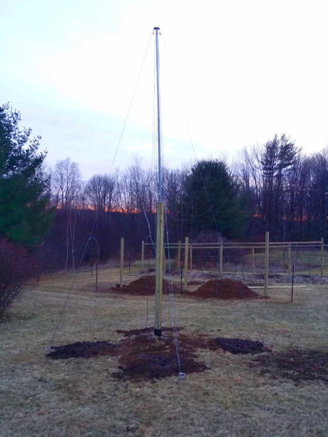Here is my new hop pole I made. There are four hop plants planted at each cable. The two mini-hugelkultur gardens are in the background. The large grape hugelkultur garden I made last year is behind them. Grape vines grow 3 time faster in these gardens.