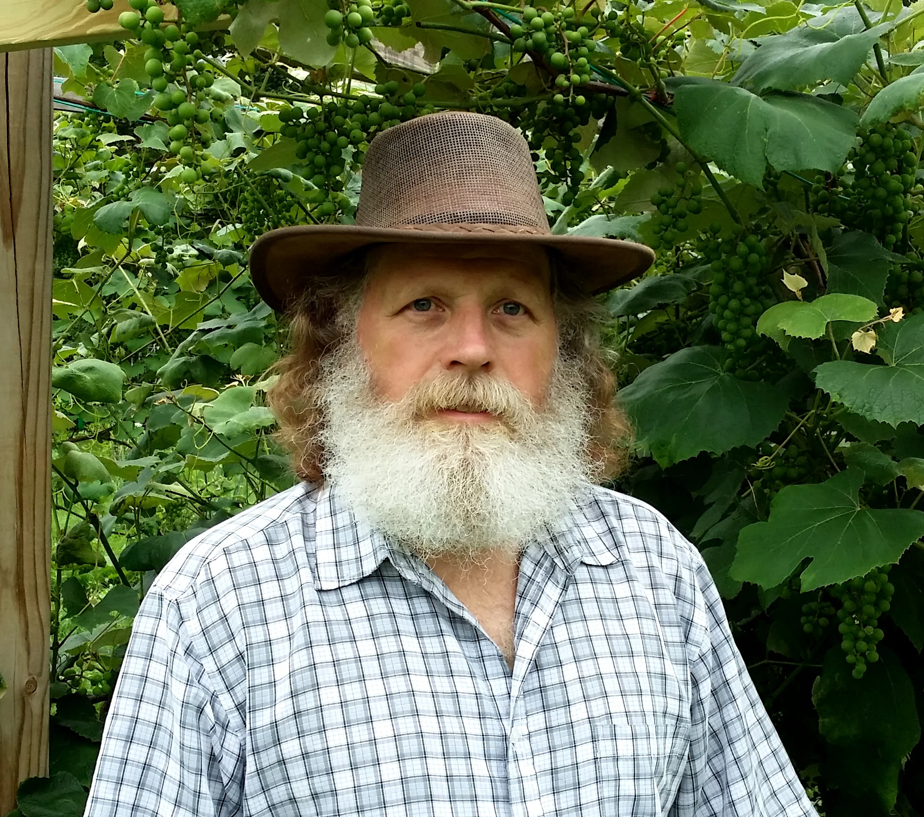 RJ Seney in one of his vineyards.