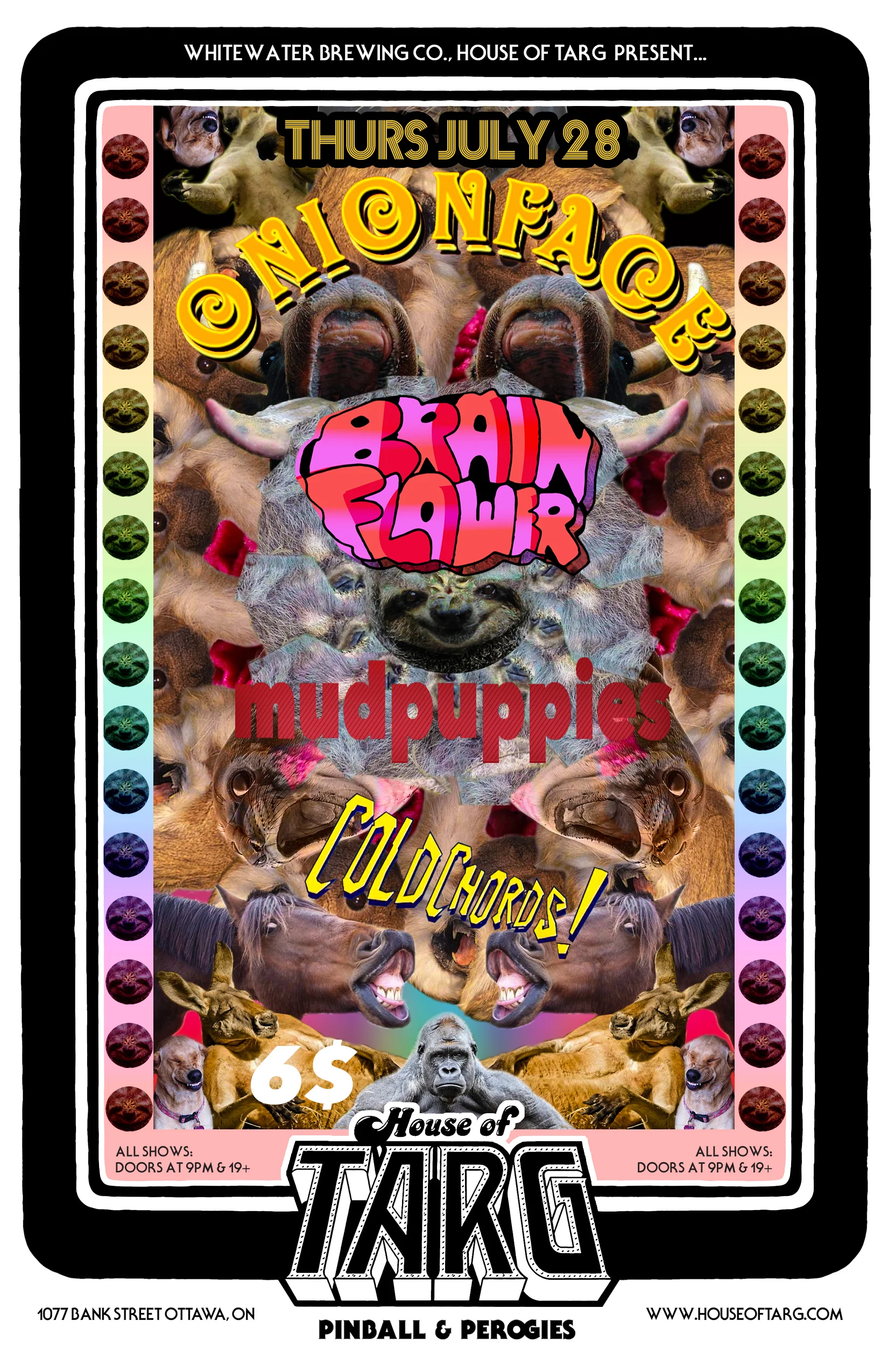 ONIONFACE + Brain Flower + Cold Chords + Mudpuppies