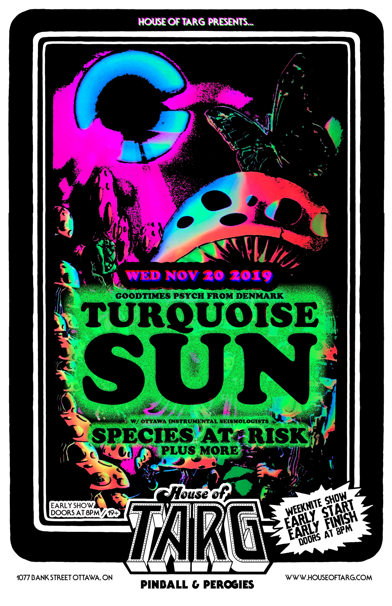 TURQUOISE SUN (Denmark Psych) + Infinity's Astrum + Species At Risk