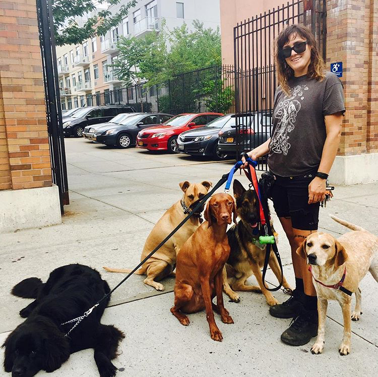 Brooklyn — The Dandy Dogwalker