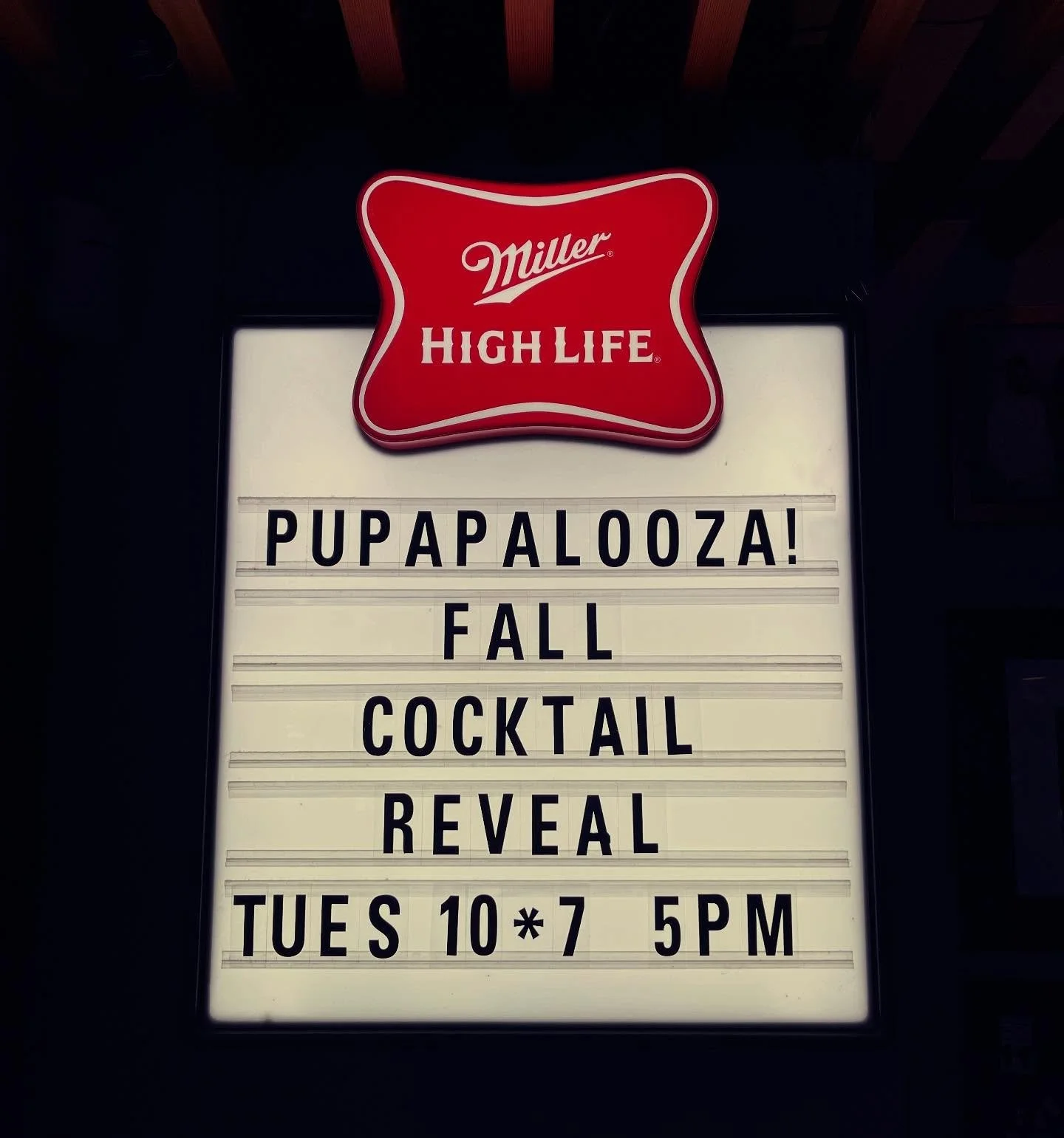 Pupapalooza is around the corner! TUESDAY, OCTOBER 7th, 5pm-lateπΎπΎ
Stop by the bar anytime to enter your pups name for a chance of fame on our fall cocktail menu- $5/entry & all proceeds will be donated to @resilientheartsanimalsanctuary! Raff