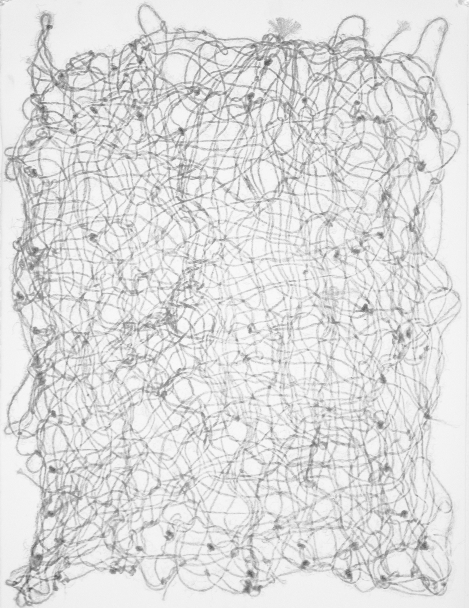 Study 02 (rope)