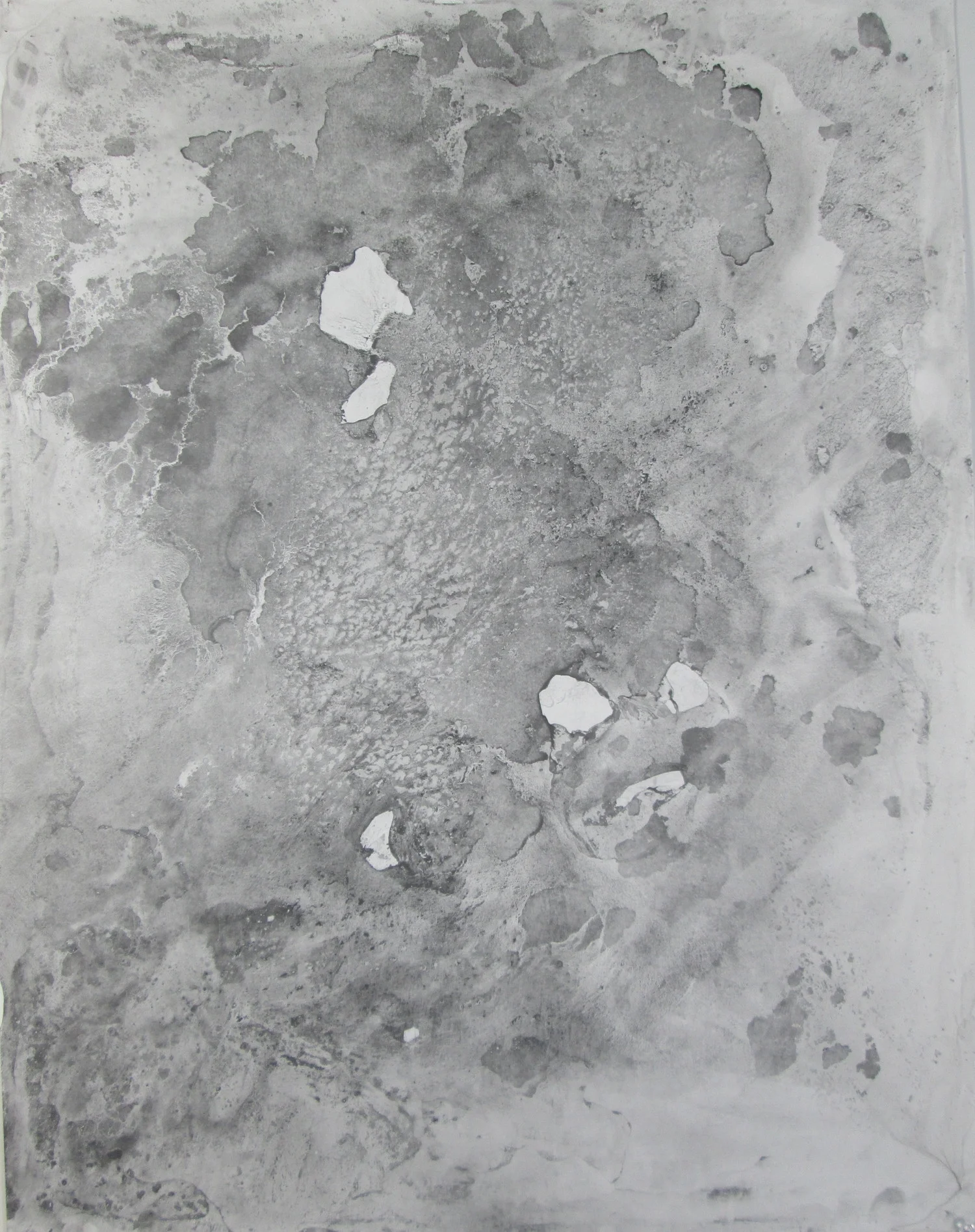 Study 25 (graphite)