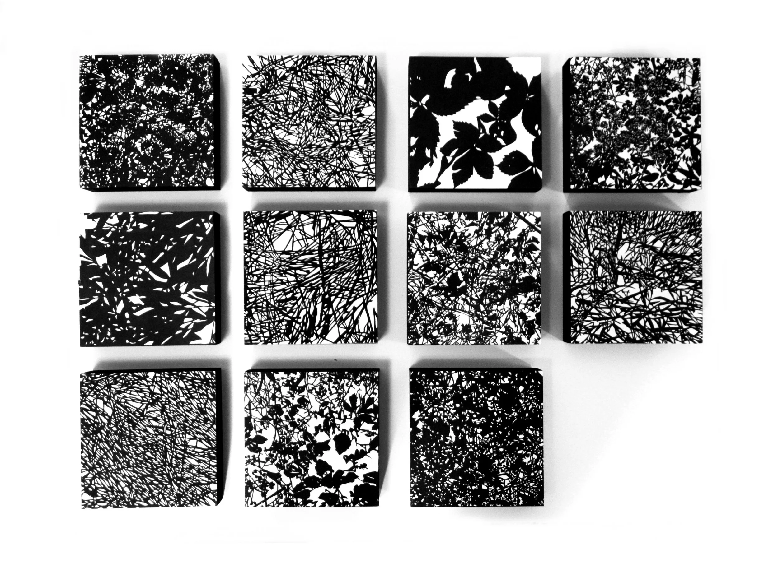 Forest Floor, 11 individual relief prints 6" x 6" mounted on panel. 