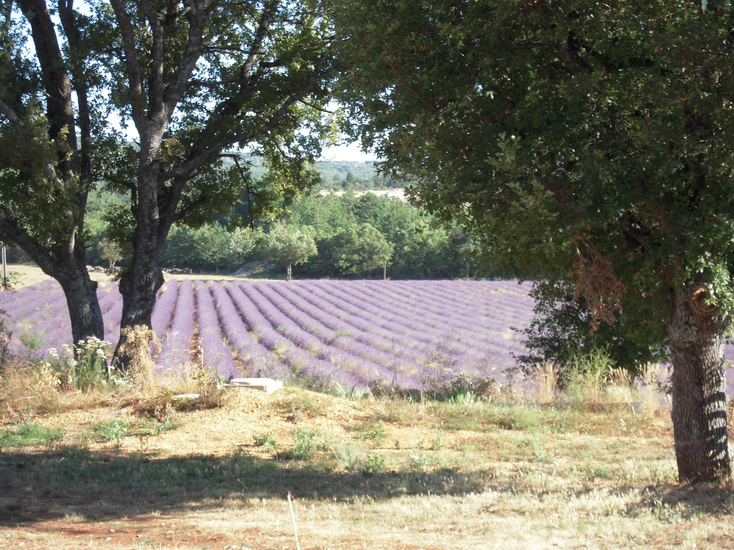 DSCN2886.JPG