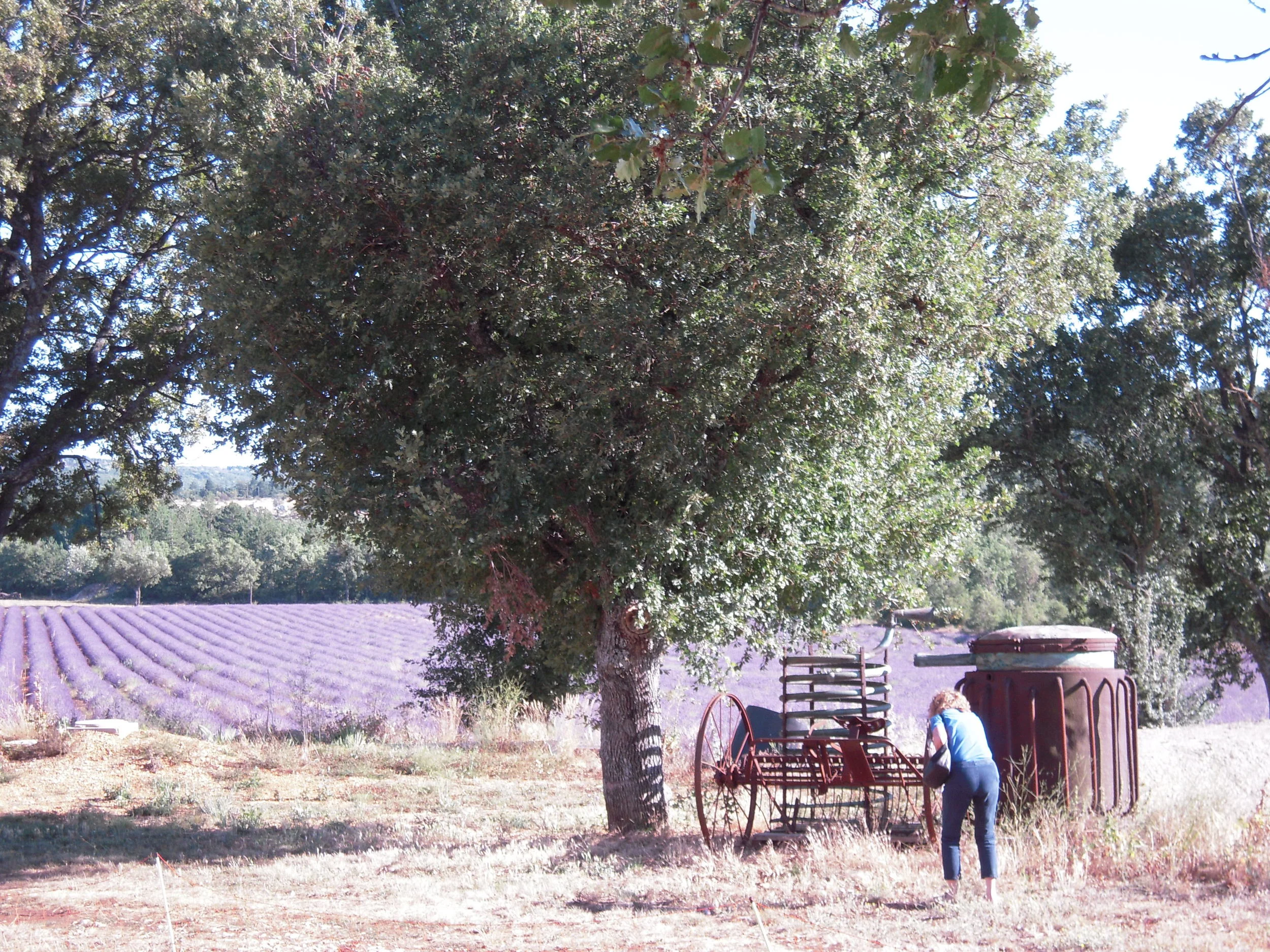 DSCN2887.JPG