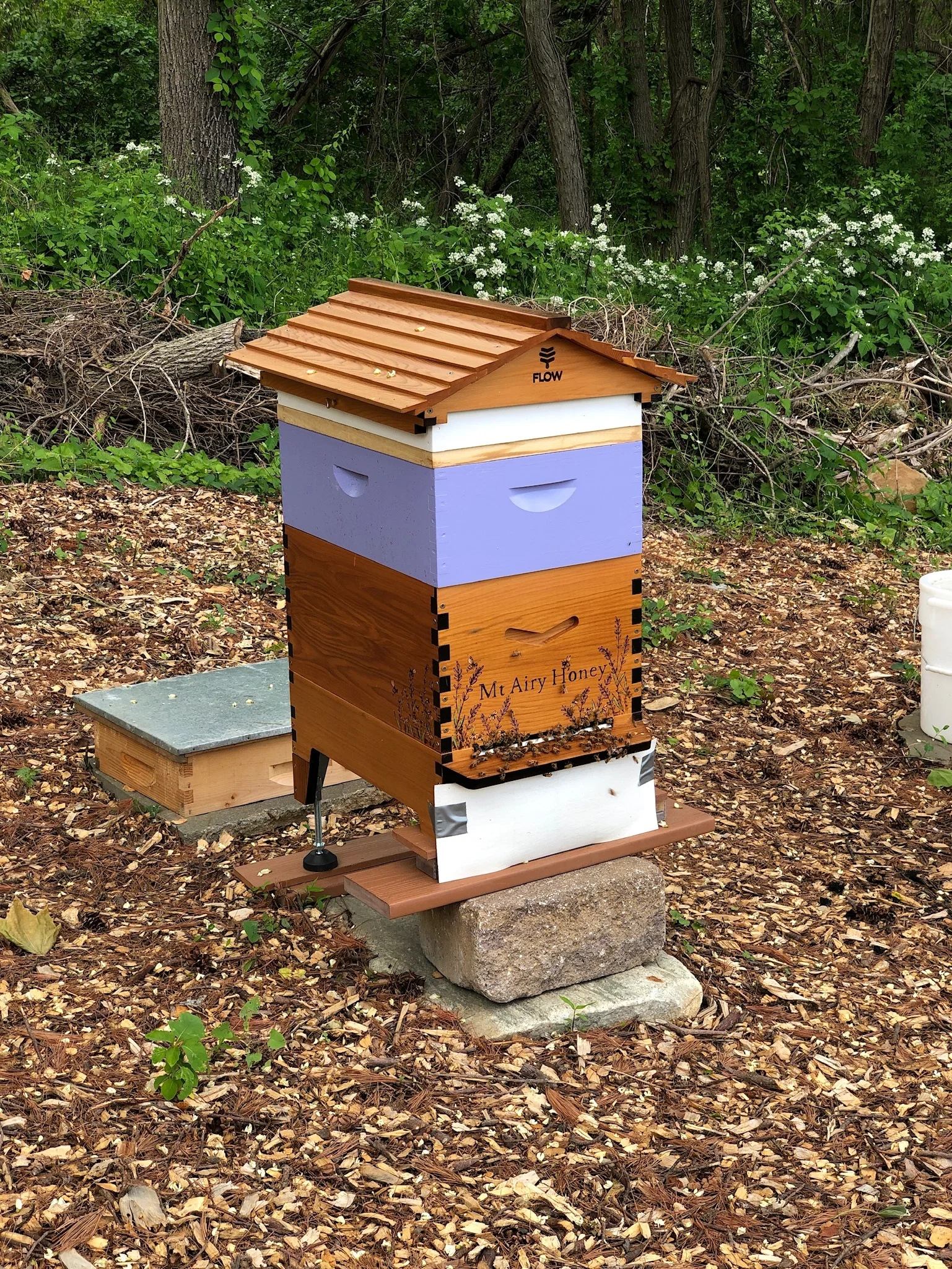 Our latest 2019 addition