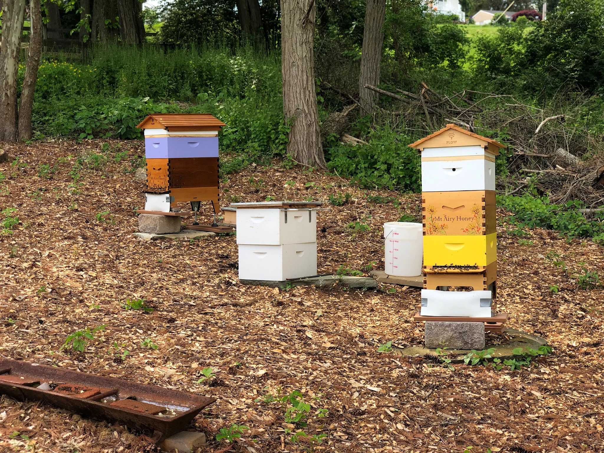 Mt Airy Lavender Beehives