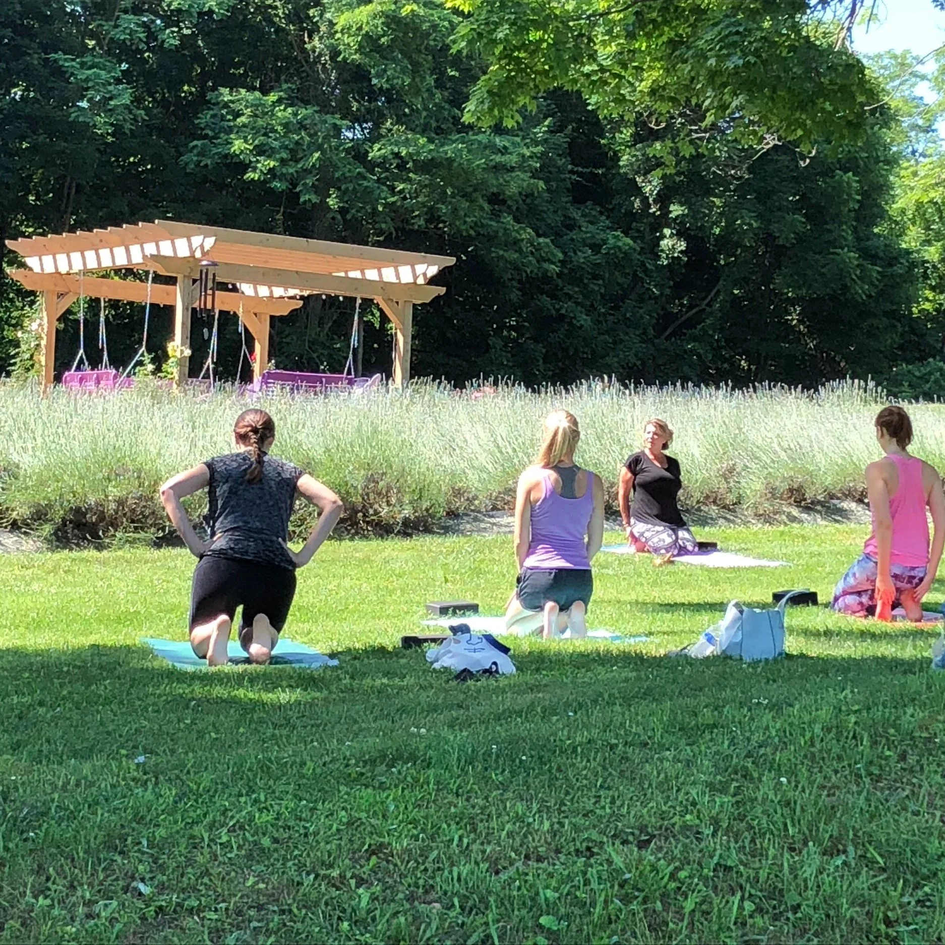 Yoga in the field - Sunday mornings