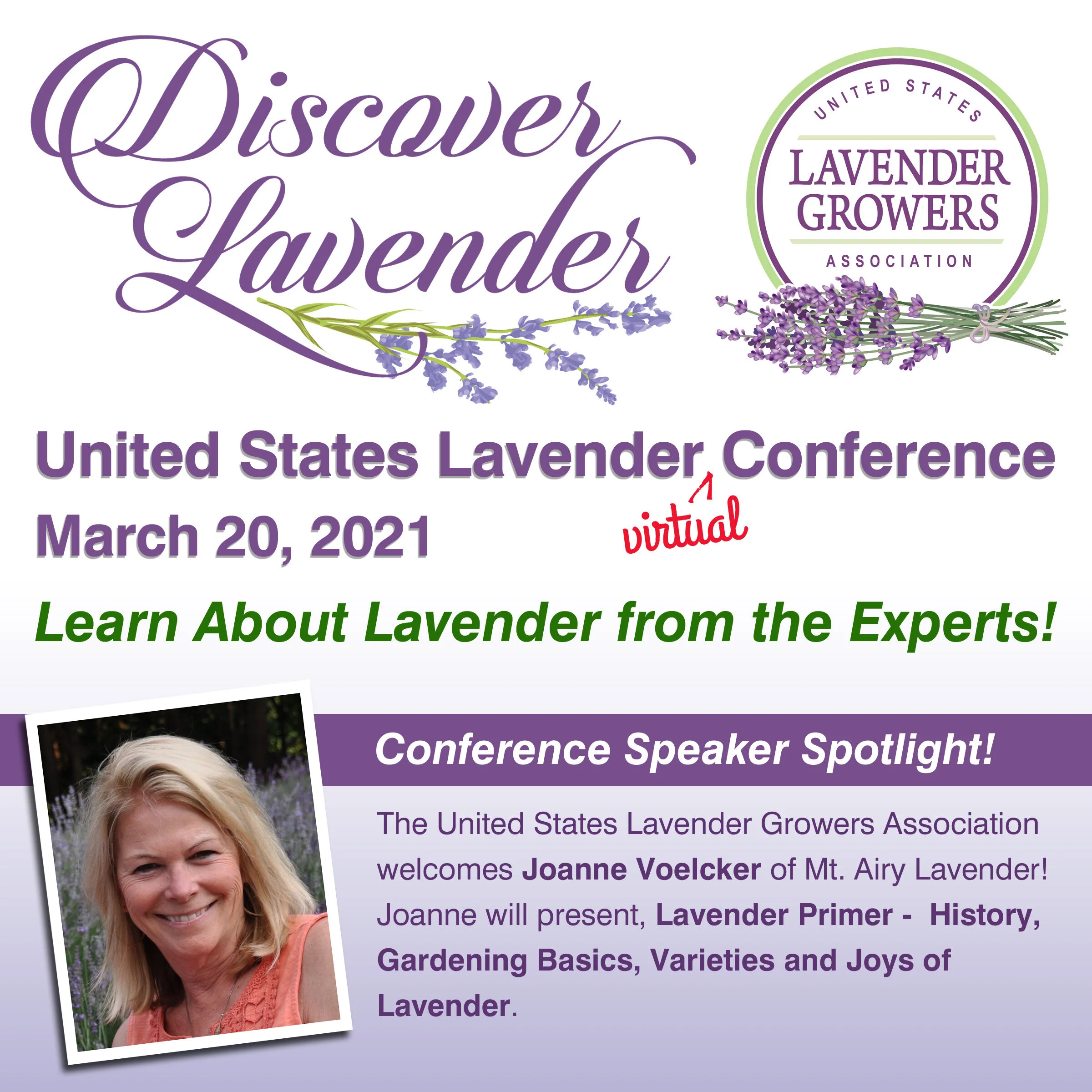 All About Lavender Presented by Mt Airy Lavender