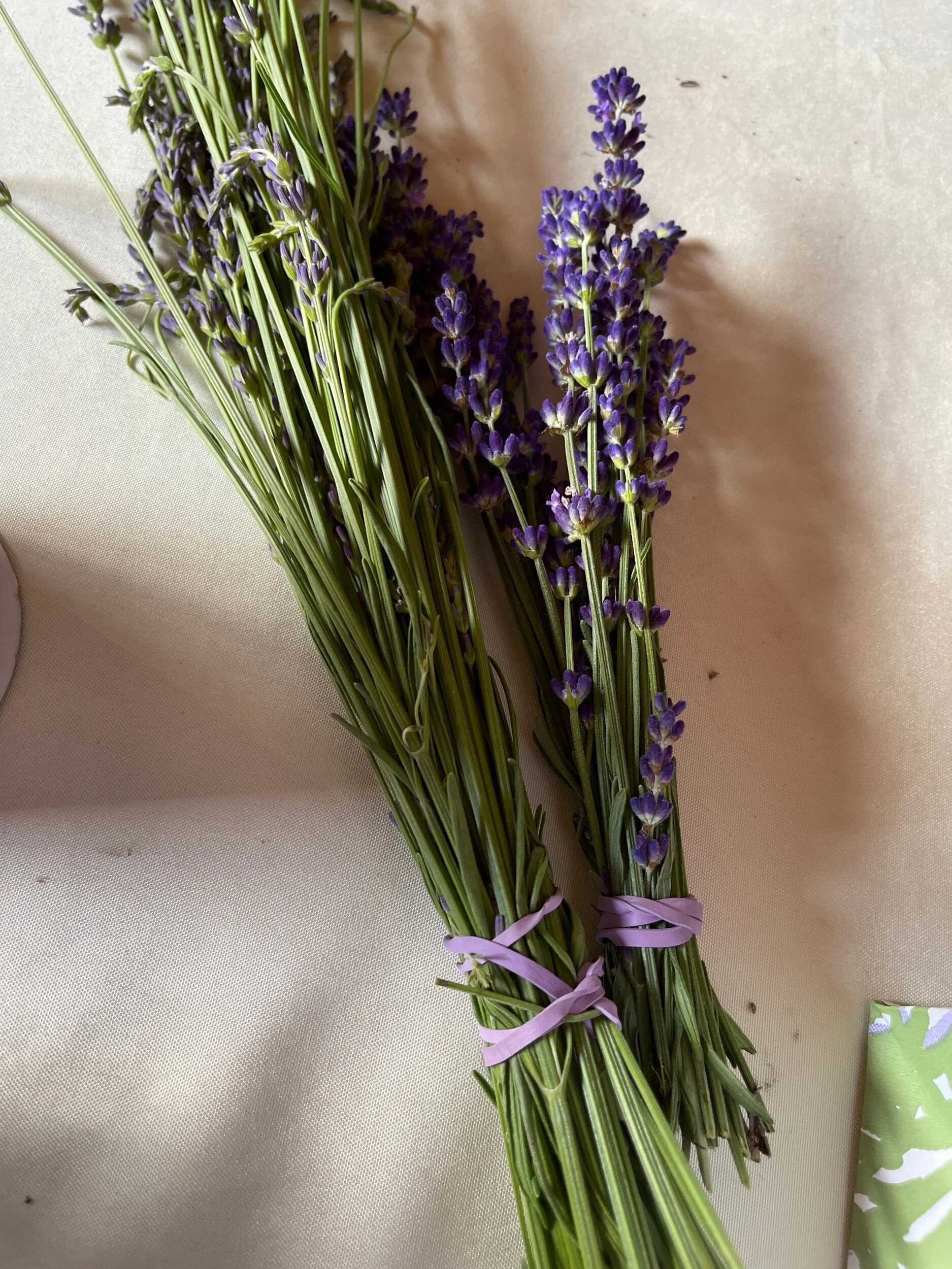 B0C828C2-9ED9-48D2-88E9-DE3FEE55A4C3