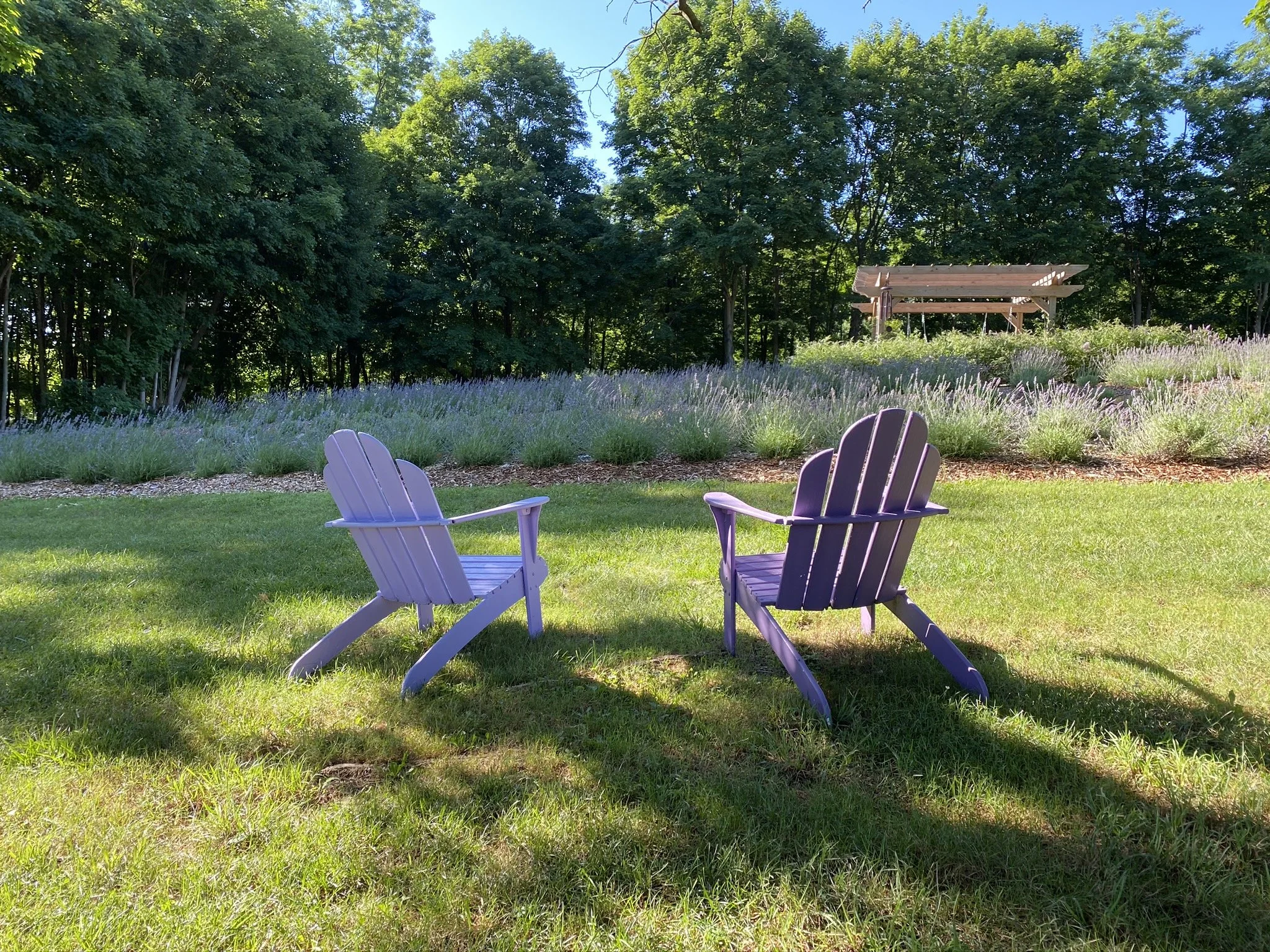 Take care of the most important person in your life - YOU!