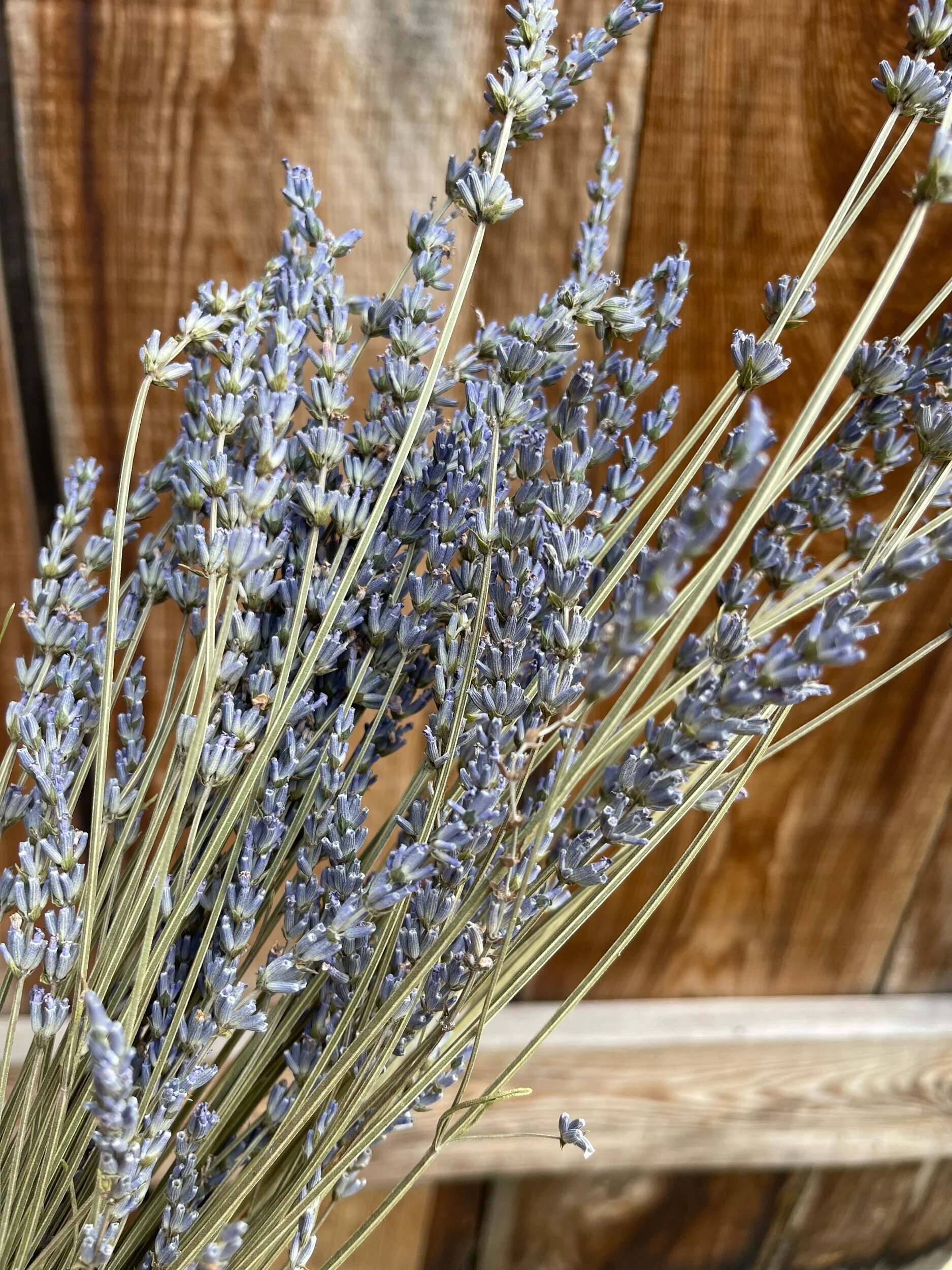 8CB20D82-0966-4BBF-B348-70A9AD3A4C9D