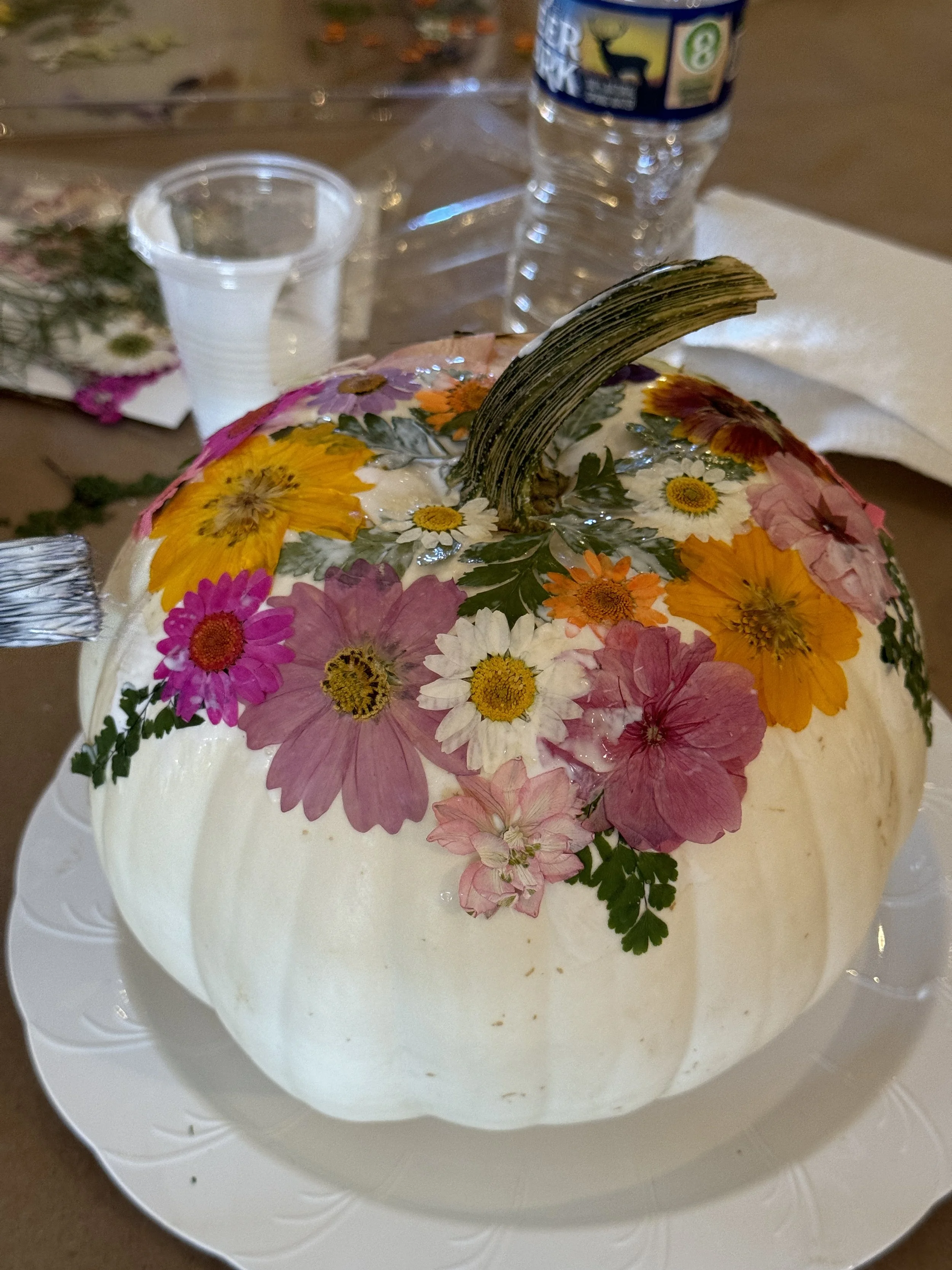 Pumpkin Decoupage Workshop - Saturday Nov 8 from noon to 2 pm
