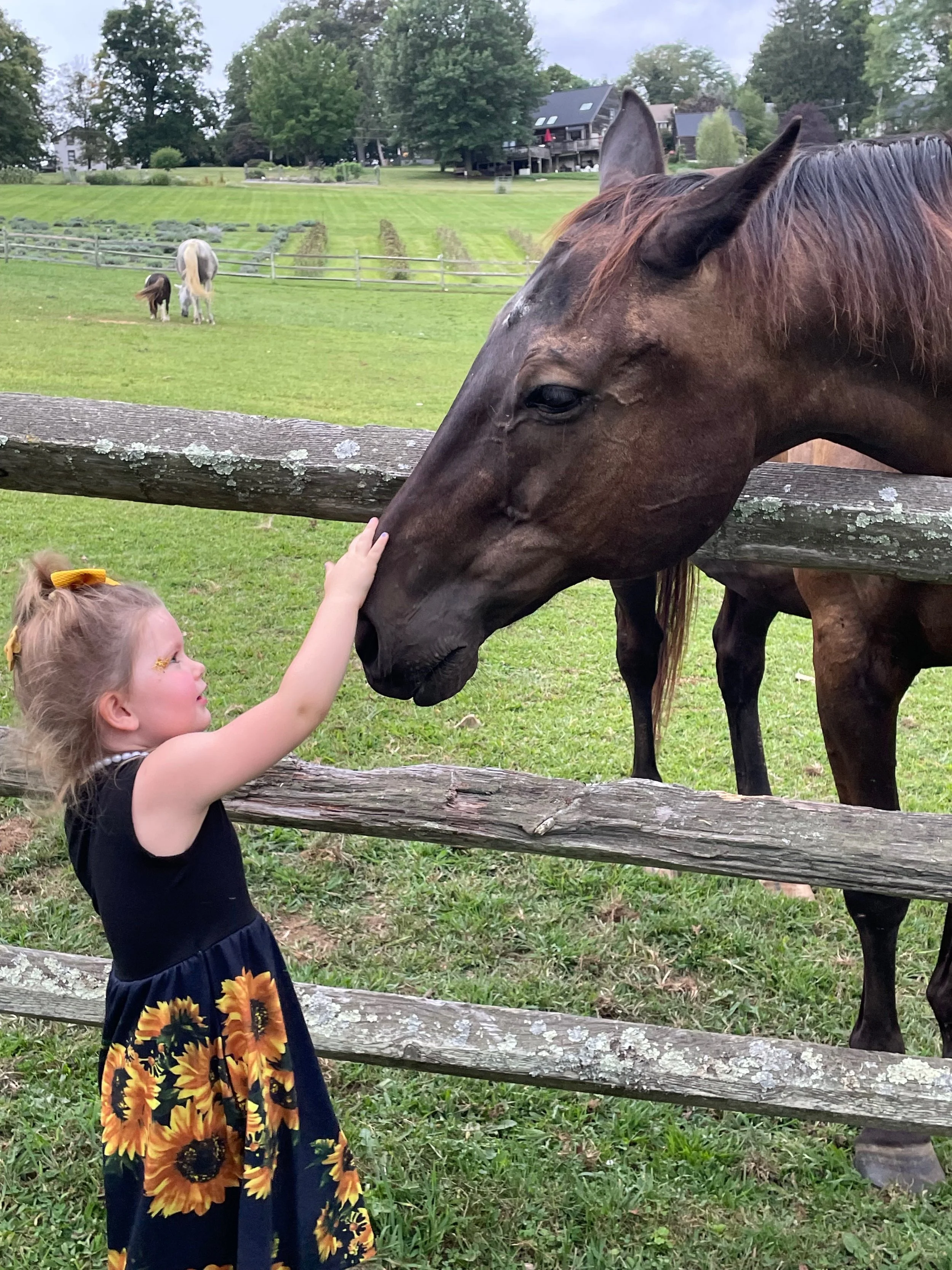 Visit Us This Weekend - Free Tour at 1 pm