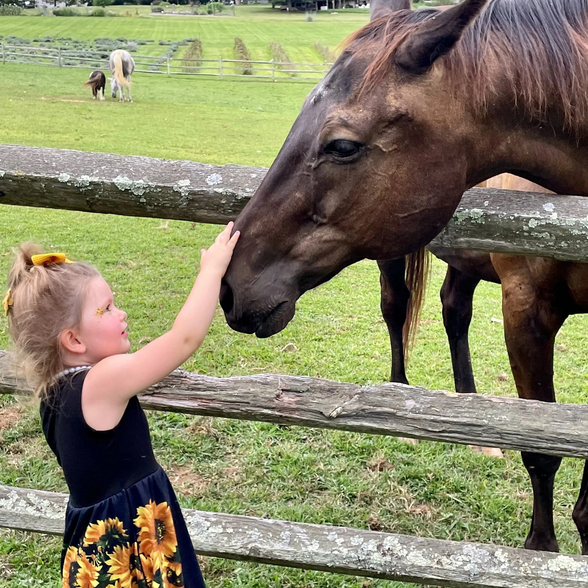 Child+with+horses+-+1.jpg
