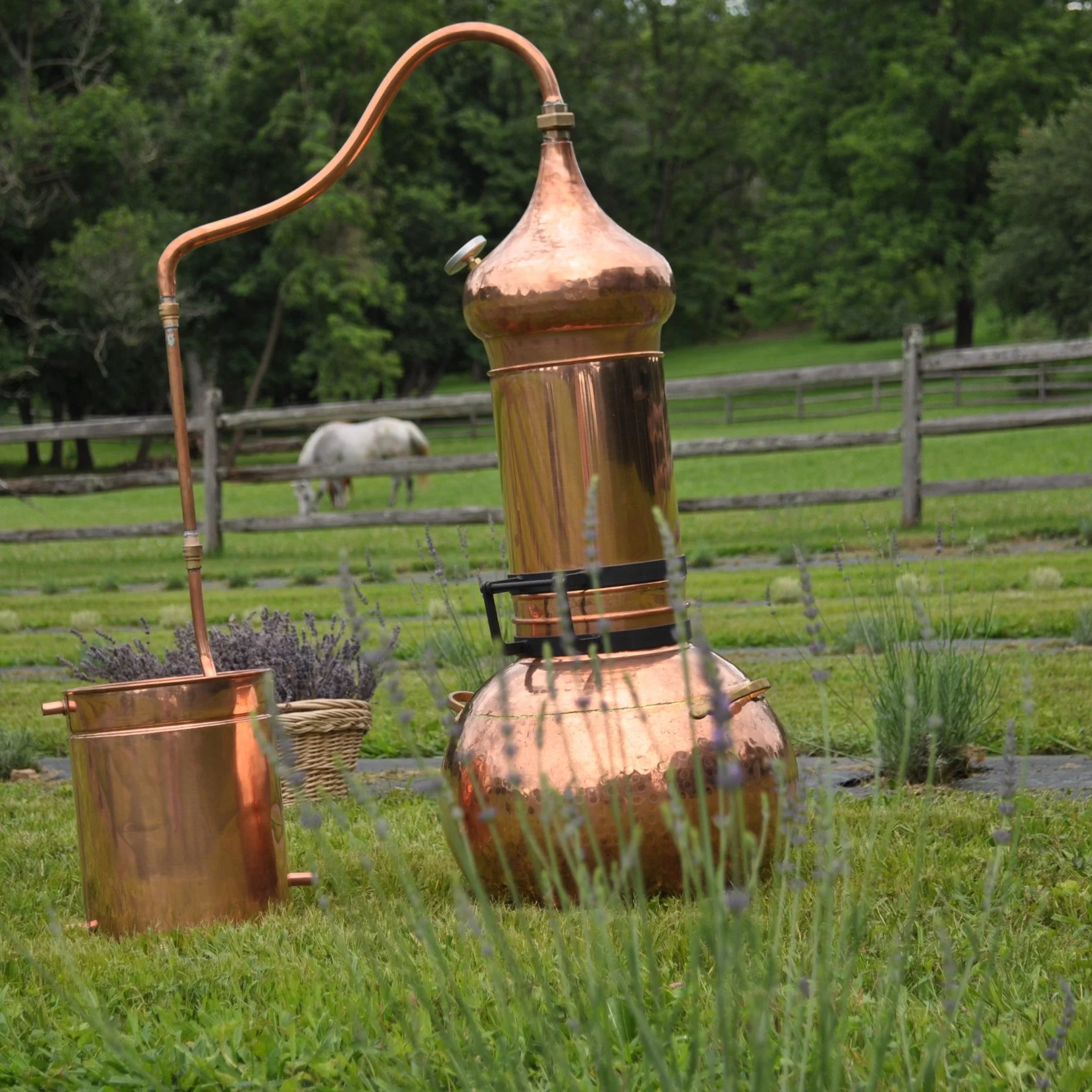 Copper-Still-for-Distilling-Lavender.png