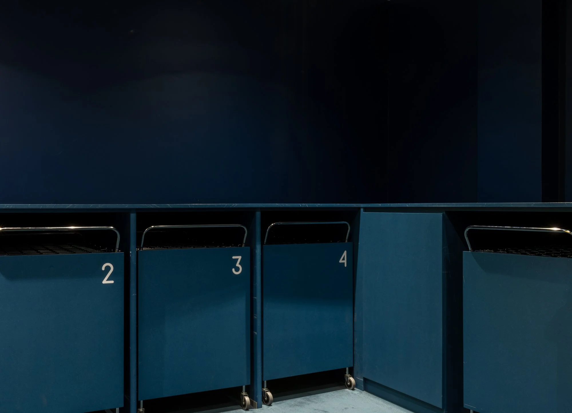 Blue room (2022).jpg