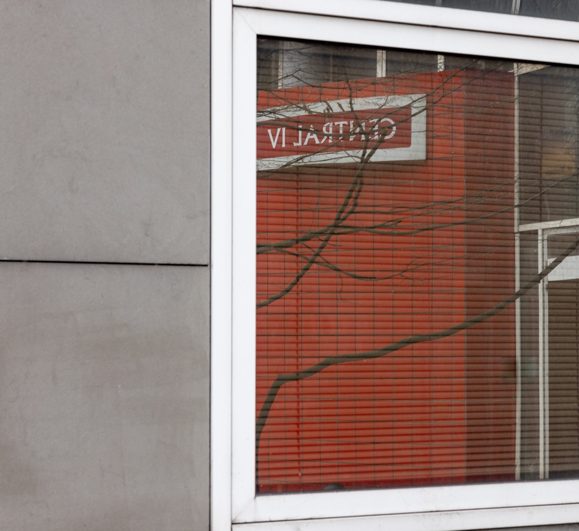 Central IV (2021).jpg