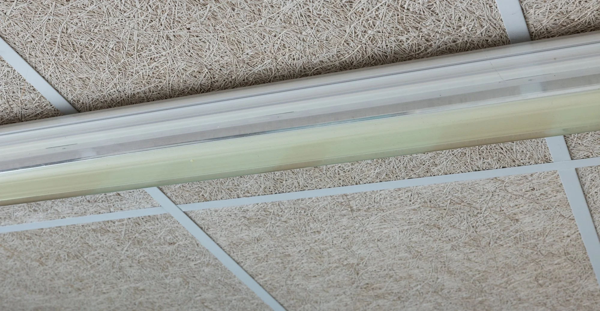 Neon light, Rennes (2023).jpg