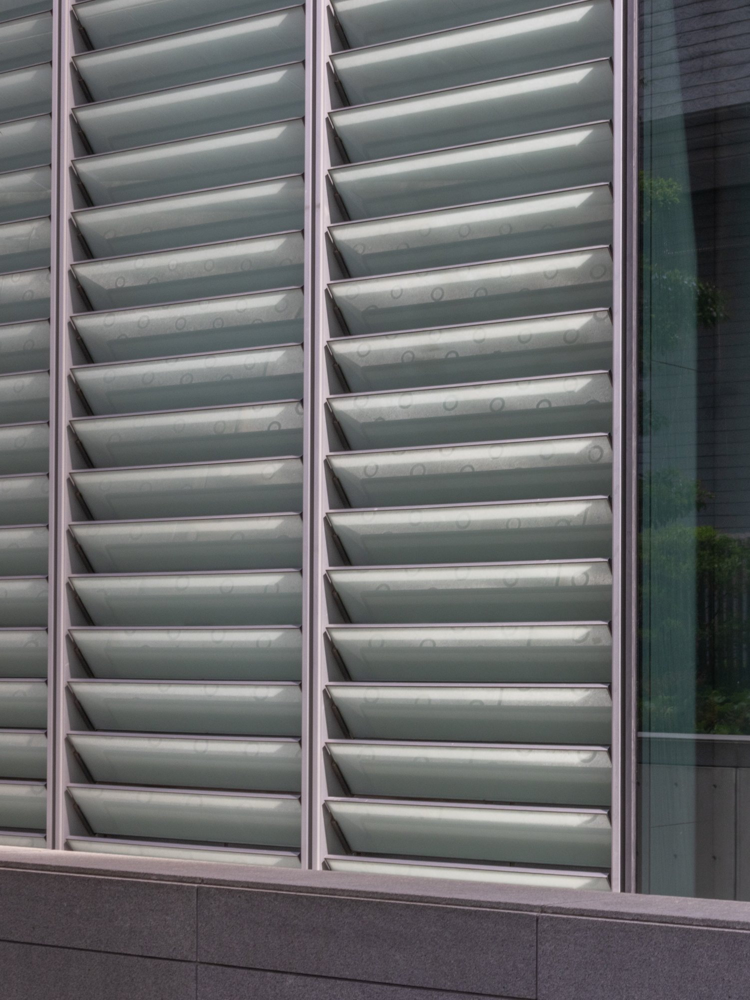 Store Tokyoïte (2023).jpg