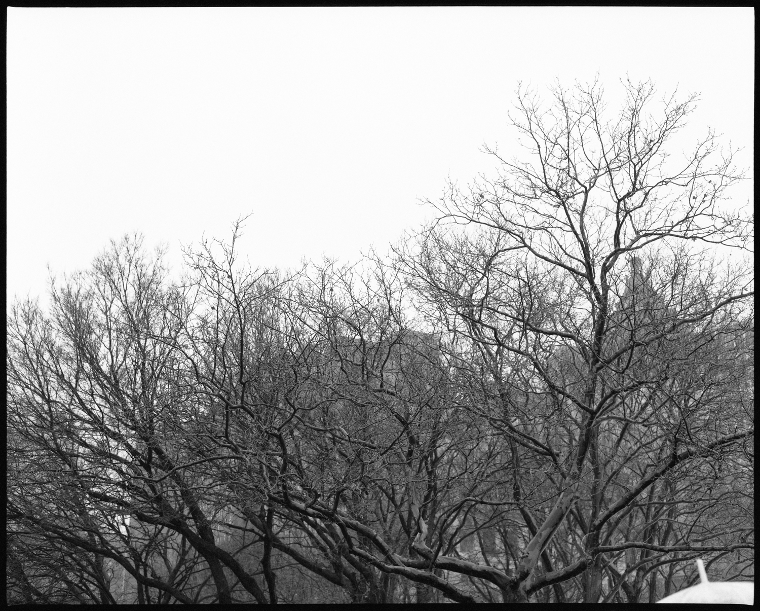  Battery Park, New York, 02.12.17 