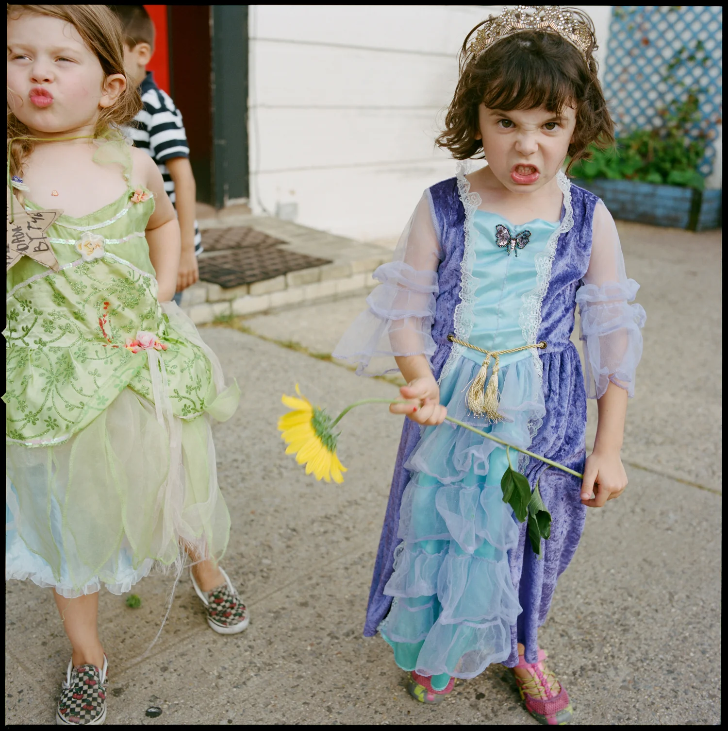 amber_mahoney_ways_of_being_tug_addie_003.jpg