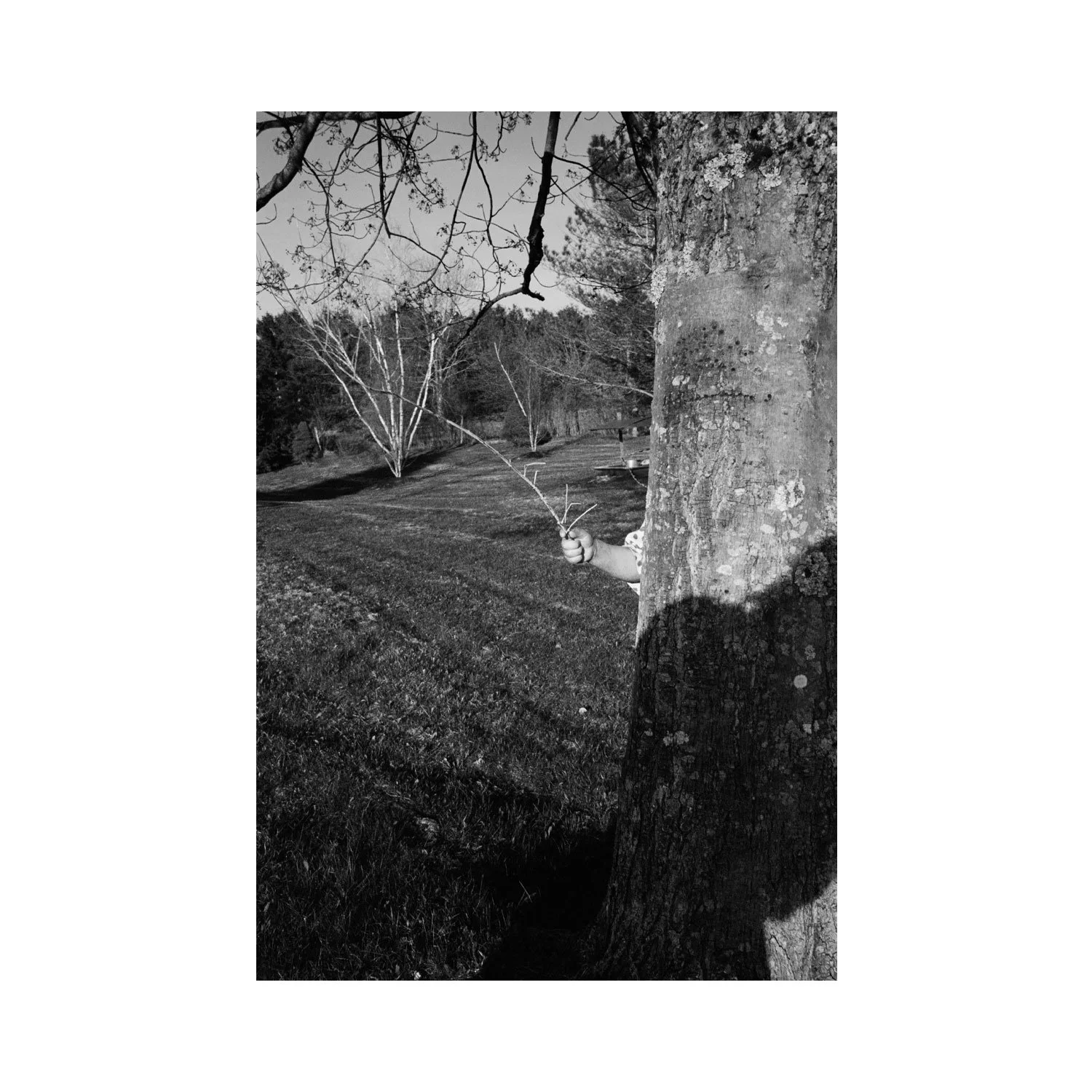 amber_byrne_mahoney_willow_with_sticks_009-2.jpg