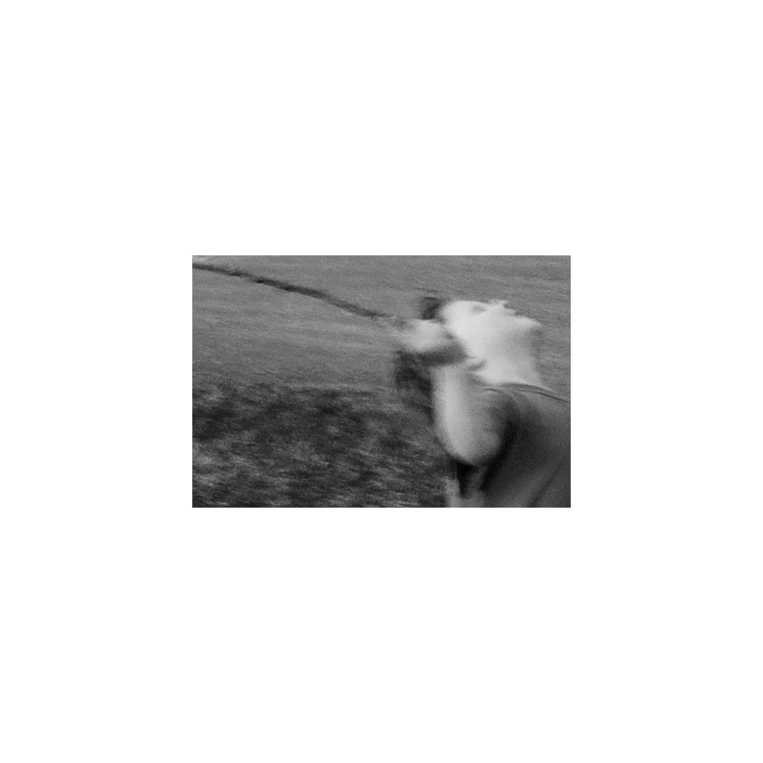 amber_byrne_mahoney_willow_with_sticks_161.jpg