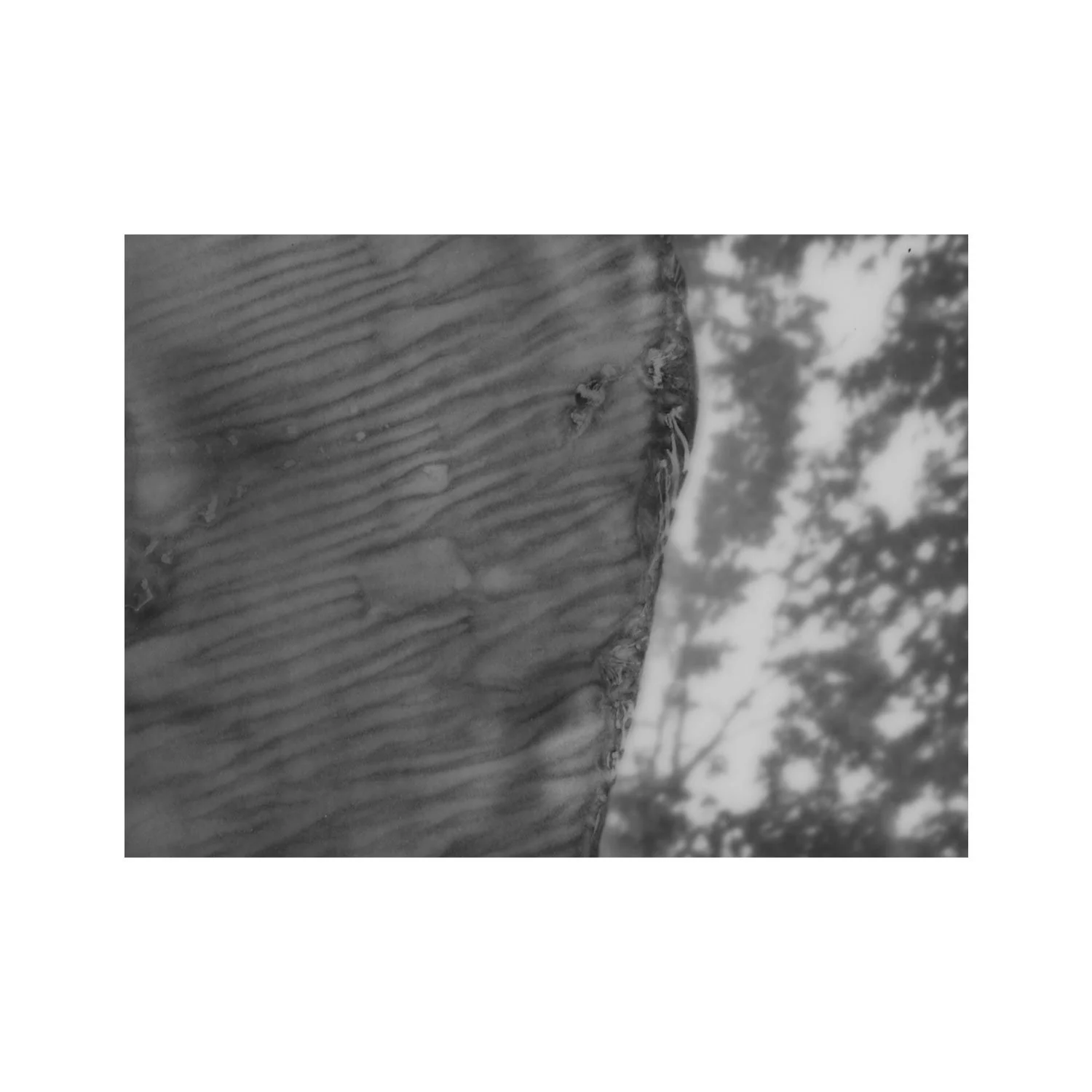 amber_byrne_mahoney_blank_lines_do_not_say_nothing416.jpg