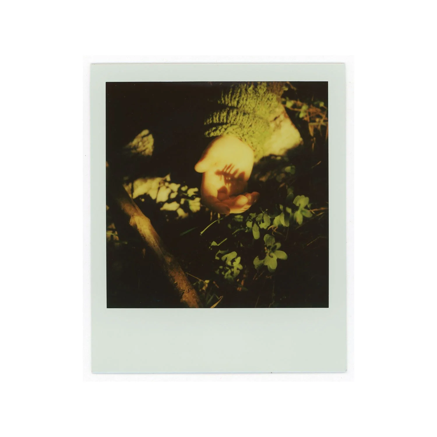 amber_byrne_mahoney_willow_with_sticks_362.jpg