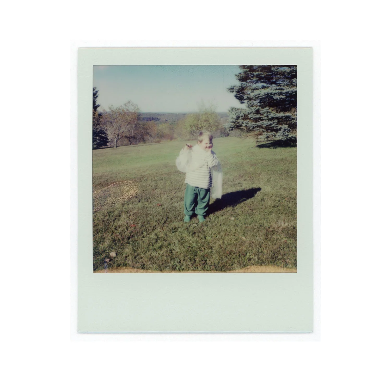 amber_byrne_mahoney_willow_with_sticks_365.jpg