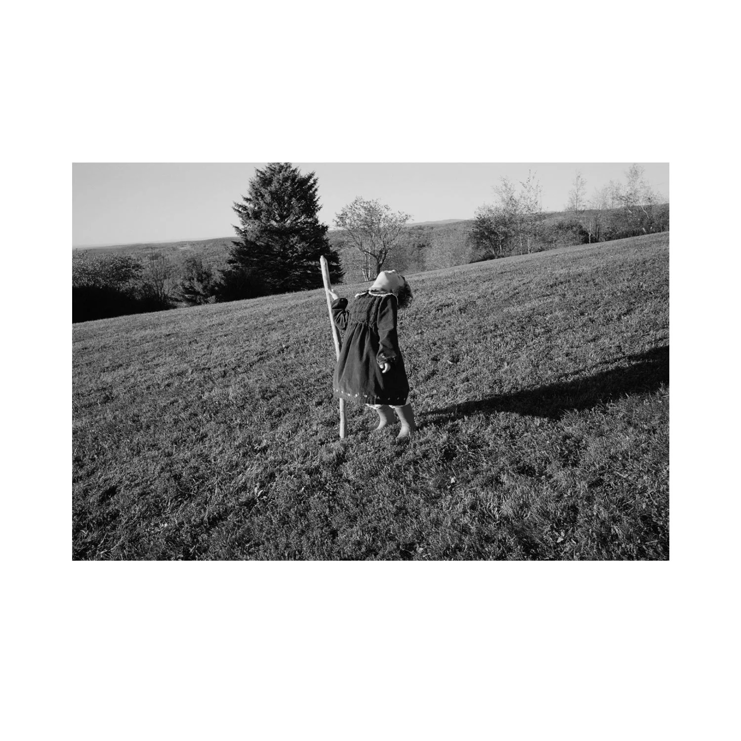 amber_byrne_mahoney_willow_with_sticks_374.jpg