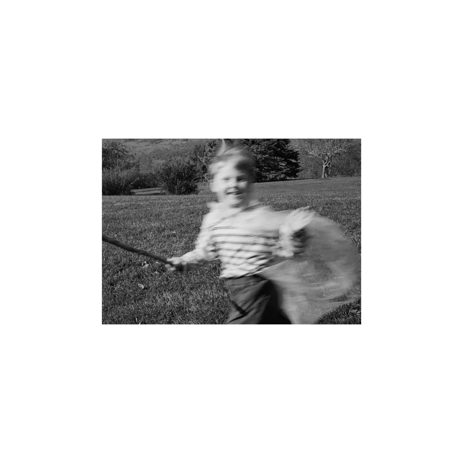 amber_byrne_mahoney_willow_with_sticks_379-4.jpg