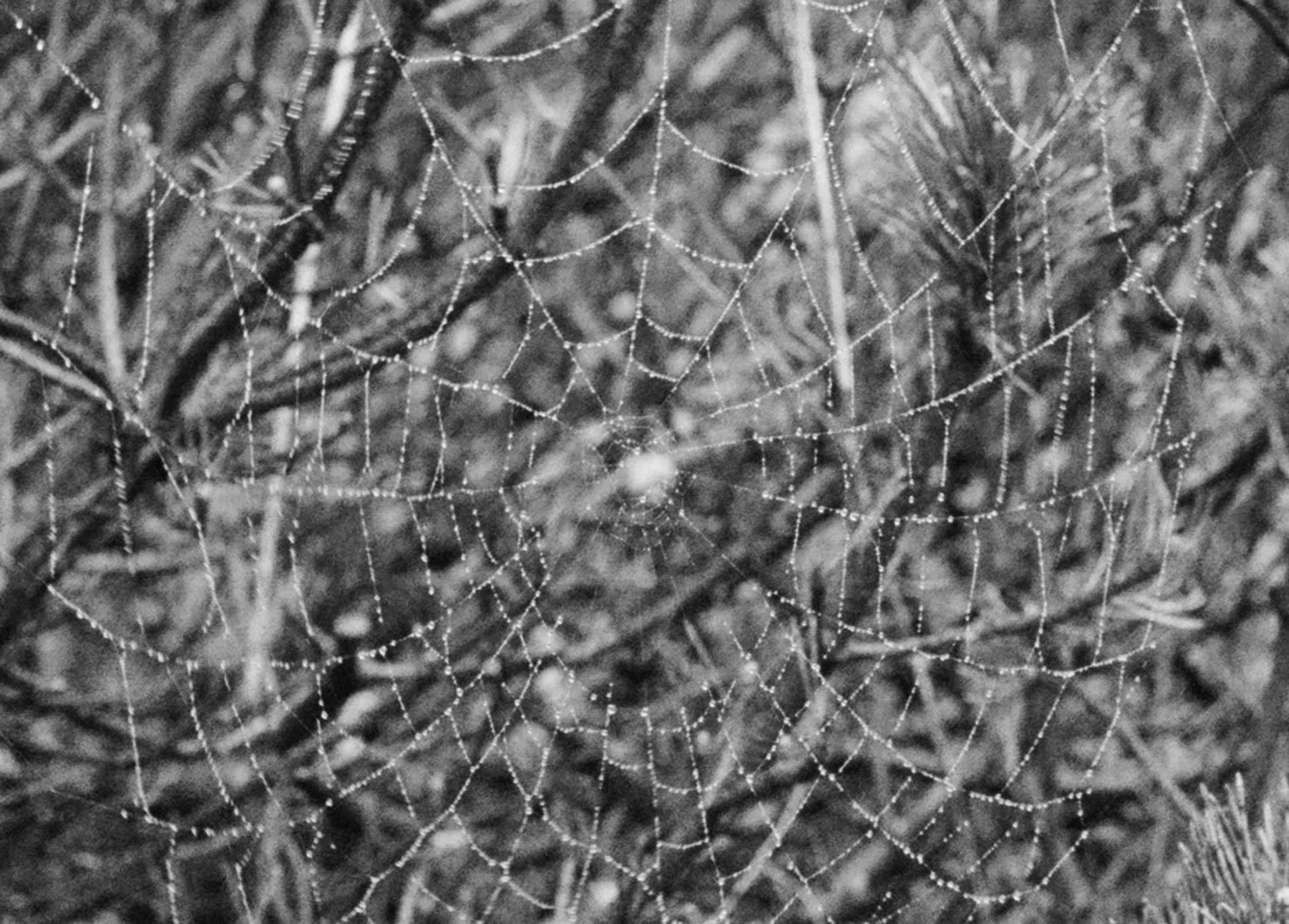 amber_byrne_mahoney_002 (1).jpg