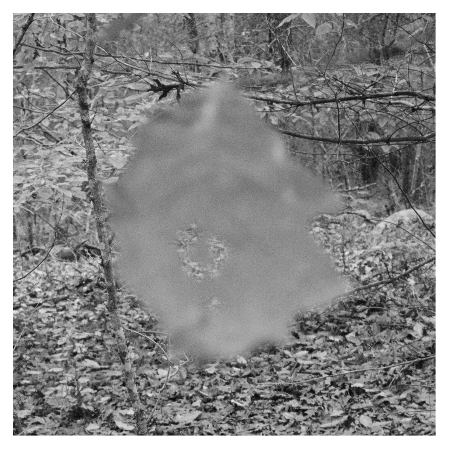 amber_byrne_mahoney_001 2.jpg