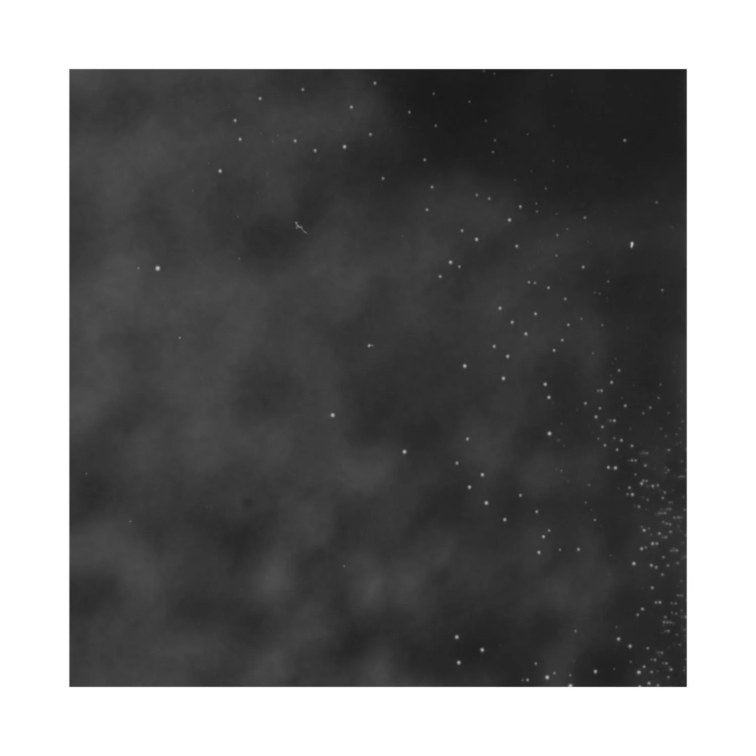 amber_byrne_mahoney_005 2.jpg