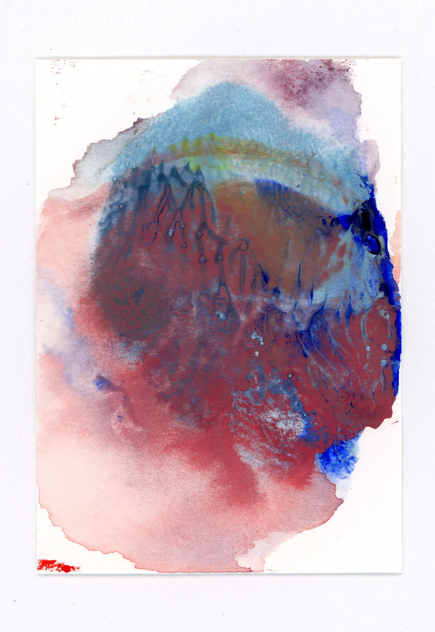  Monotype #146, 2026  Watercolor on paper  2.5 x 3.5 in 