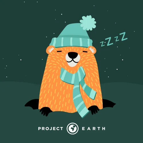 pe-originalcontent-batch3-groundhogday-01.jpg