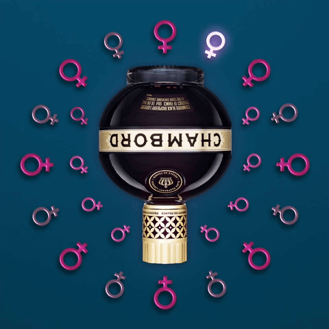 giphy-635.gif