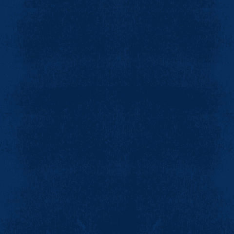 Q_Social_Post_July4-1.gif
