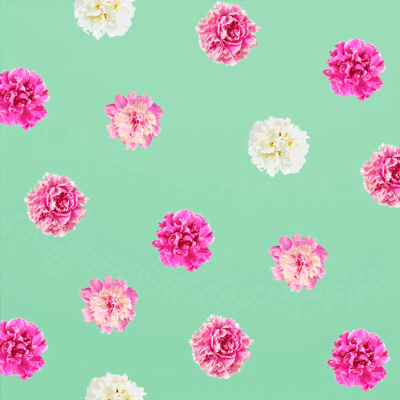 Chambord_fy19_social_sour_Flowers_v3_AR.gif