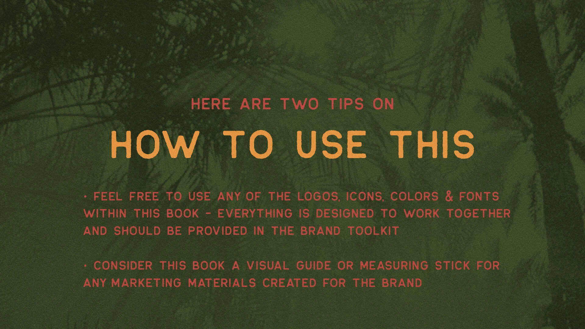 buenoroasters-brandbookhow to use.jpg