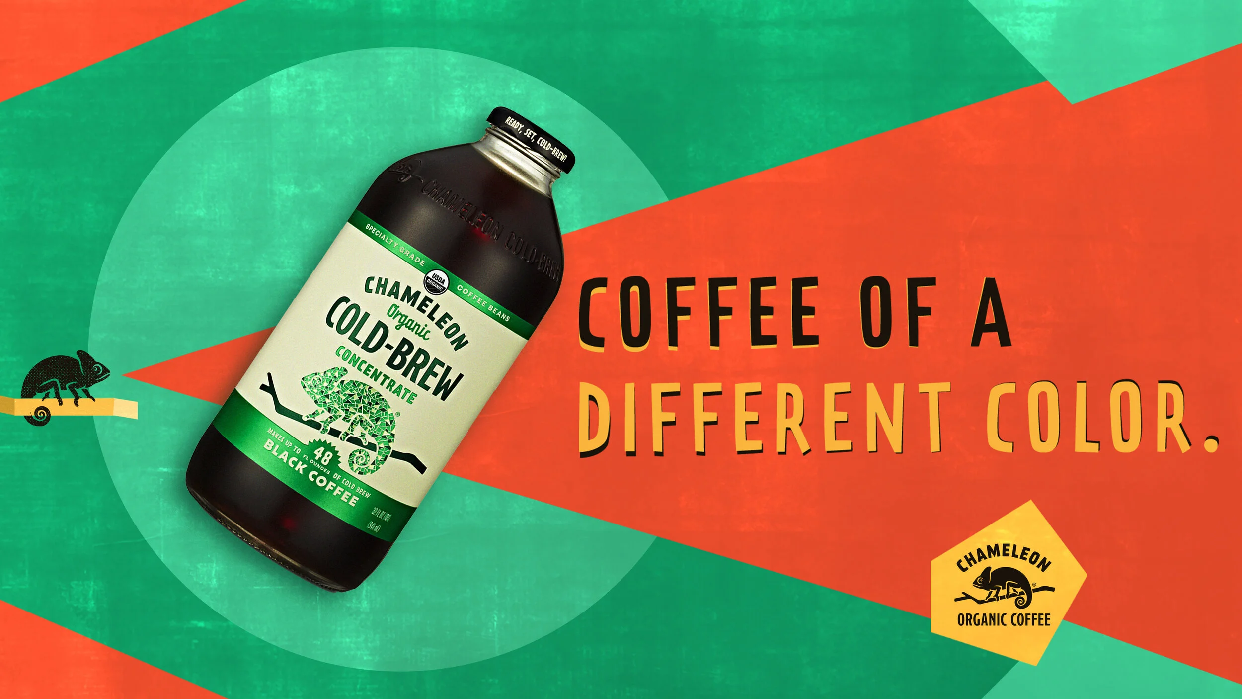 chameleon-comps-1key visual 1.jpg