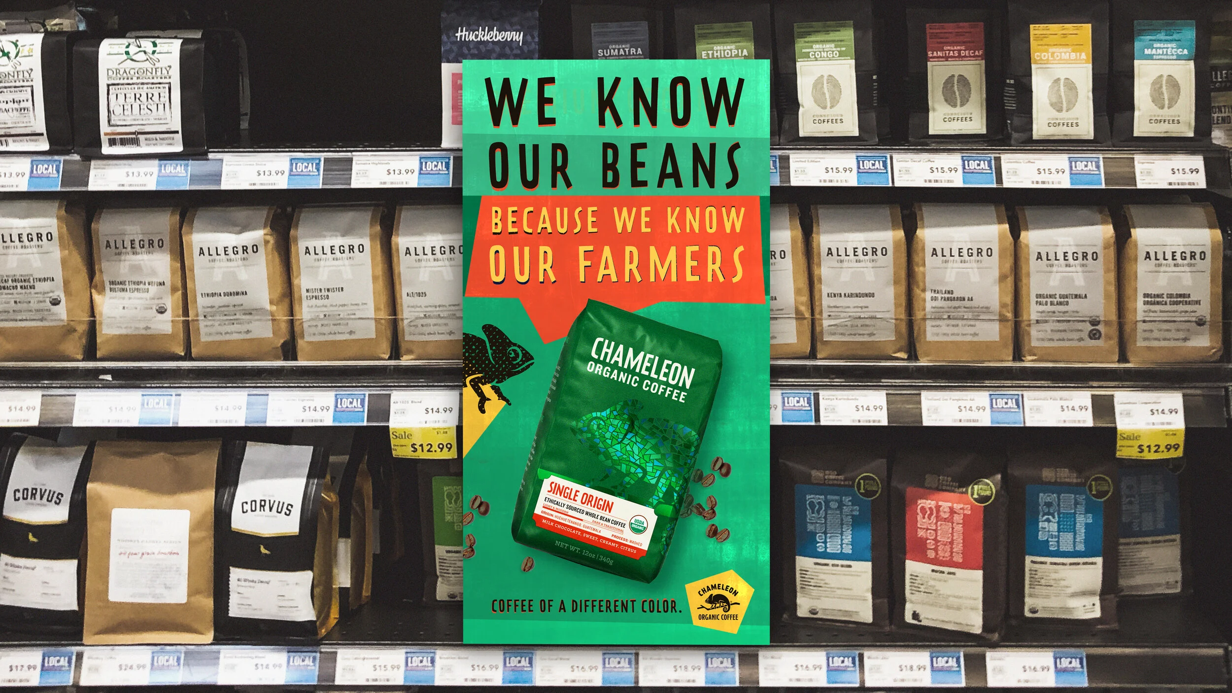 chameleon-comps-1in store 3.jpg