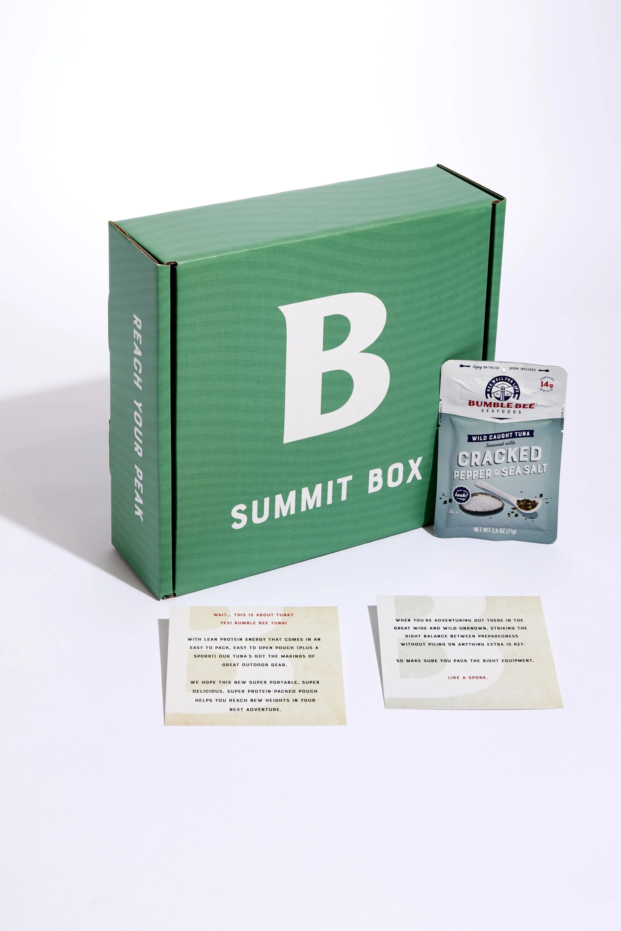 BUMBLE_BEE_INFLUENCER_BOX_2_0004.jpg