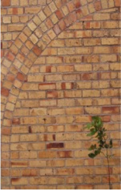 5662353064_bfdf436a96_b.jpg